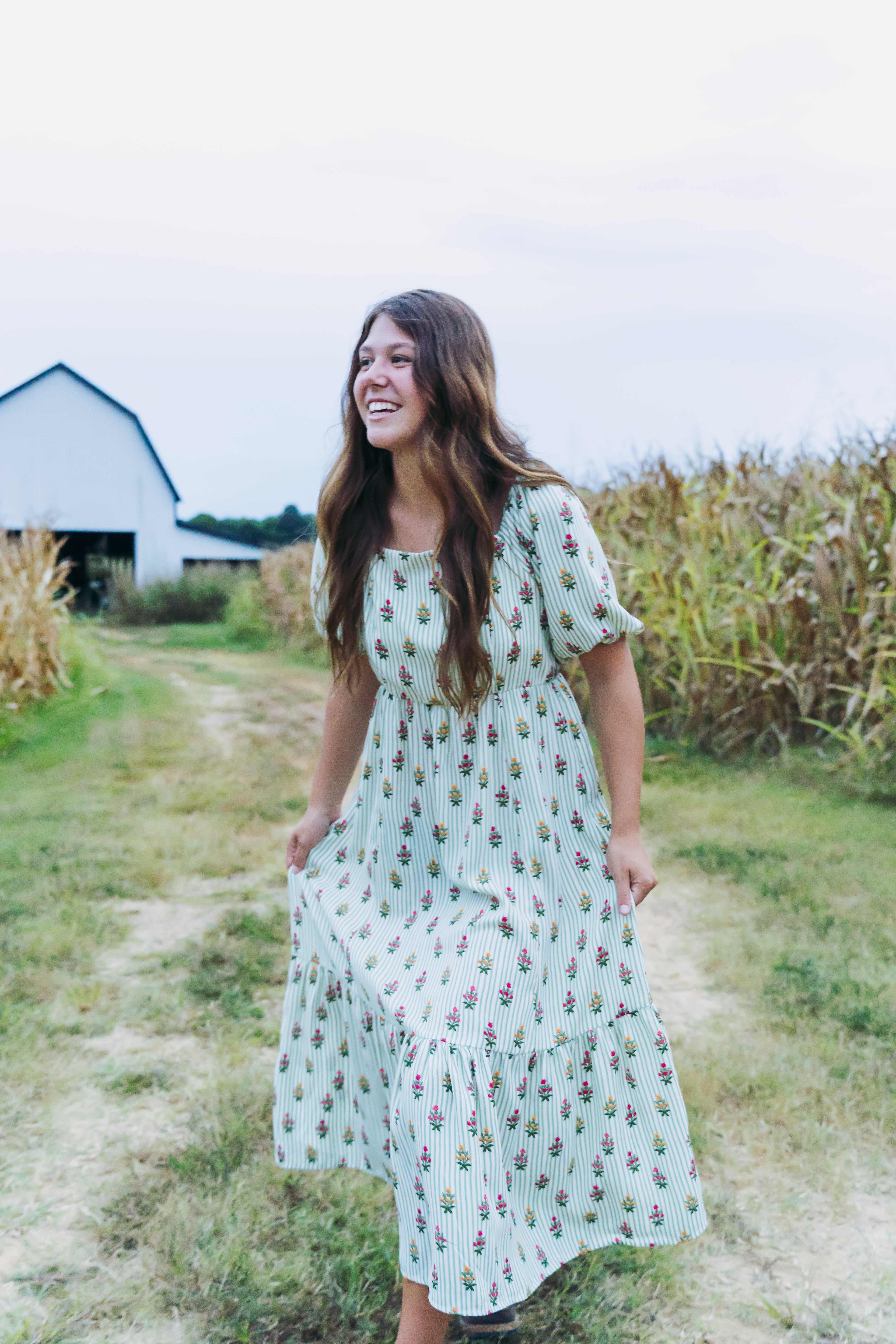 Mary Square Cottage Stripes Green Dress