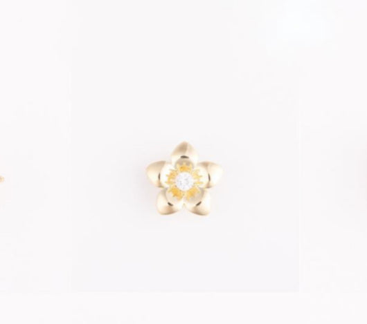 Slide-on Charms