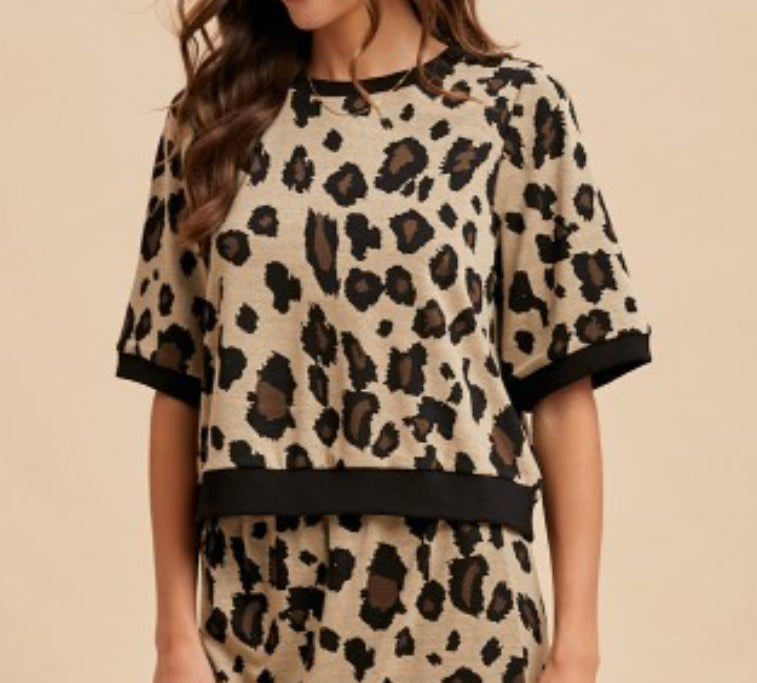 Leopard Knit Top