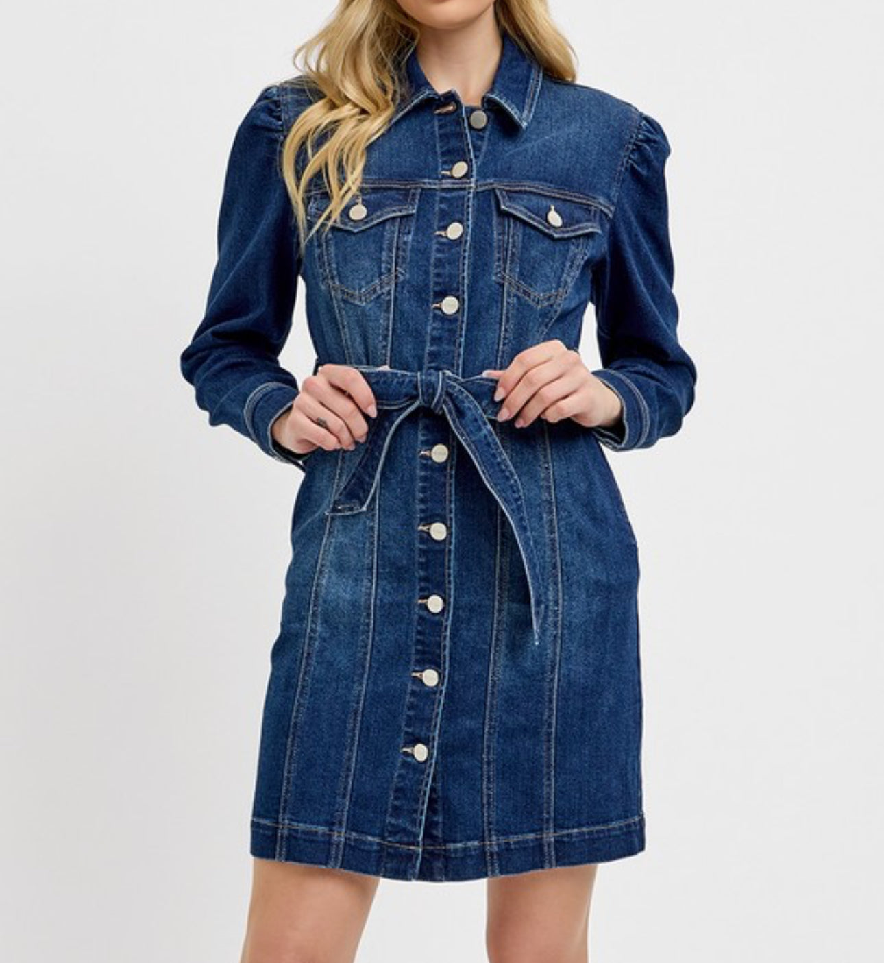 Risen Denim Button Up Dress