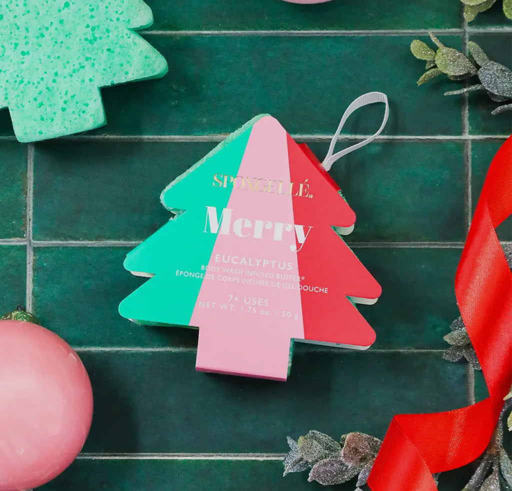 Christmas Sponges